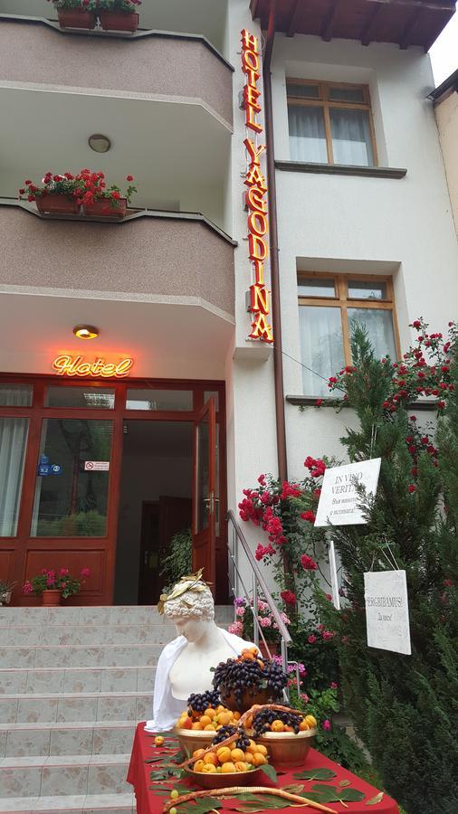 Yagodina Family Hotel المظهر الخارجي الصورة
